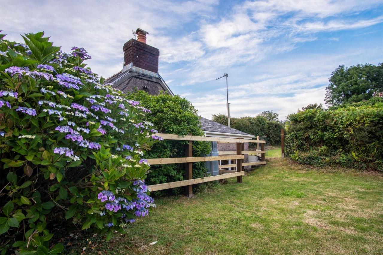Holloway - 2 Bedroom Cottage - Stepaside Stepaside  Exterior foto
